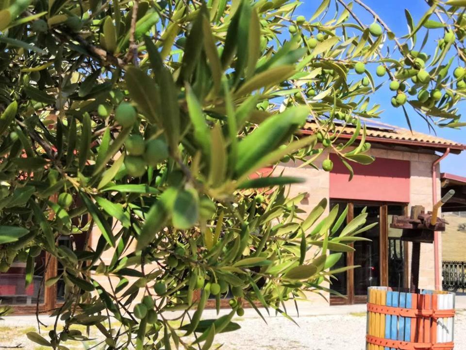Country House Torrenera Morro dʼOro Exterior foto